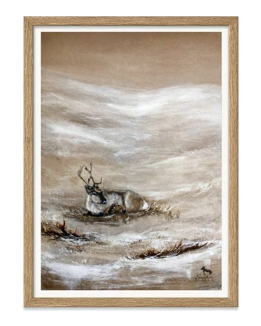 Huvudbild Poster Liggande vaja med kalv 21x30 cm