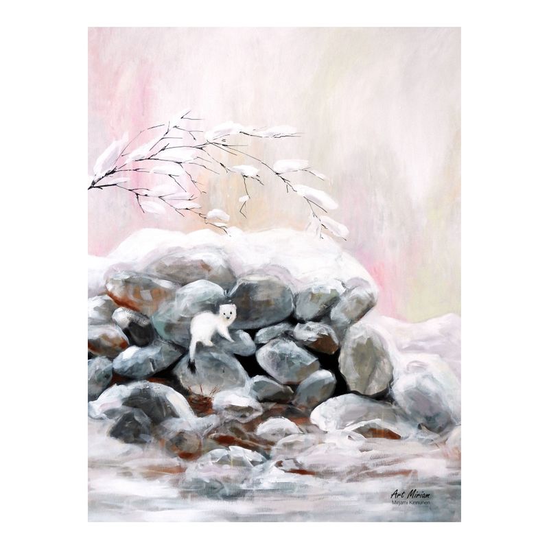 Poster Hermelin 30x40 cm