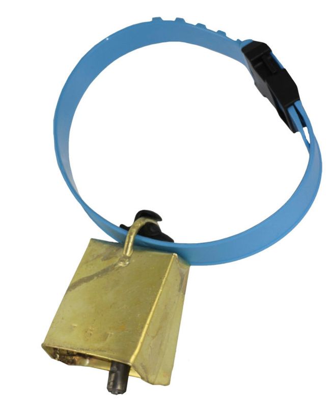 Kort Klave Snabblås 