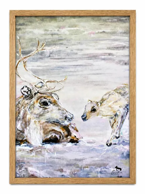 Huvudbild Poster Liggande vaja med kalv på vårfjäll, ...